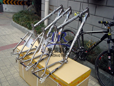 Titanium bike frame